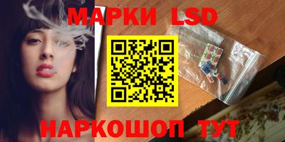 мяу мяу мука Будённовск