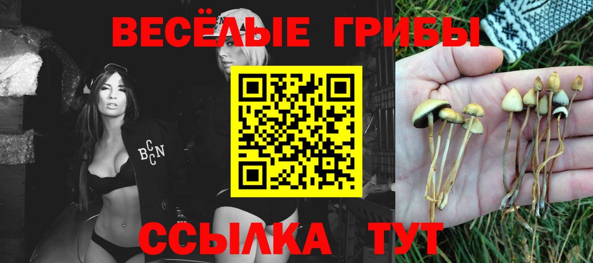 Усинск  Псилоцибиновые грибы Psilocybine cubensis  Галлюциногенные грибы Psilocybe  Вход с VPN 